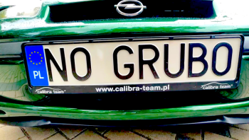 V Auto Show w Działdowie