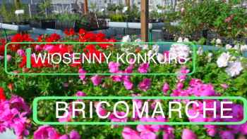Wiosenny Konkurs Bricomarche