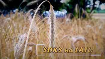 SDKS na lato!
