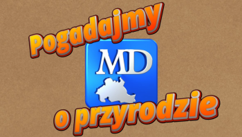 🦆🥶Pogadajmy o przyrodzie - czy ptakom jest zimno zimą w wodzie? 