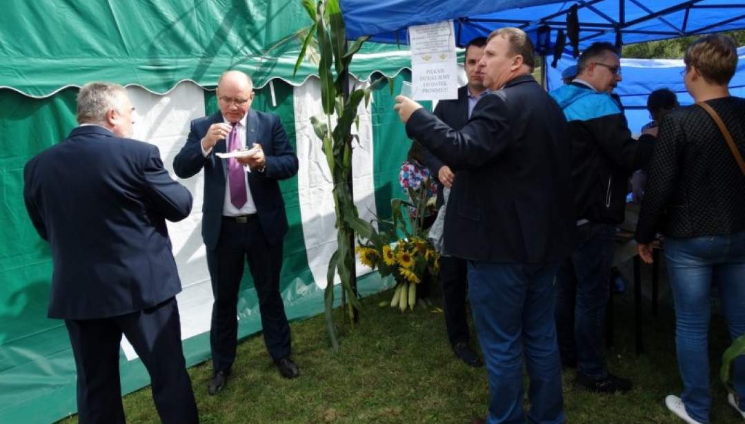 Niestoja - gospodarz dożynek parafialnych