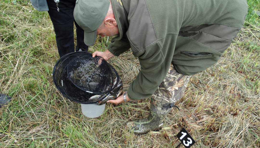 Zawody spławikowe o Puchar Wójta Gminy Działdowo