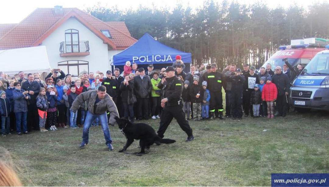 Piknik z pokazem tresury