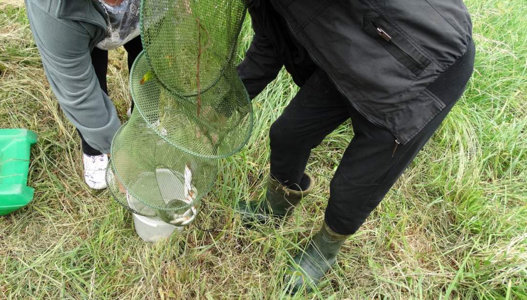 Zawody spławikowe o Puchar Wójta Gminy Działdowo