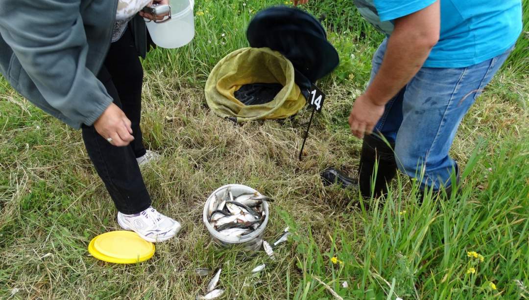 Zawody spławikowe o Puchar Wójta Gminy Działdowo