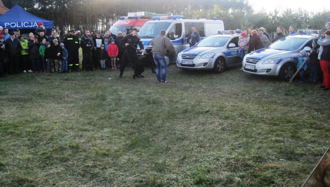 Piknik z pokazem tresury