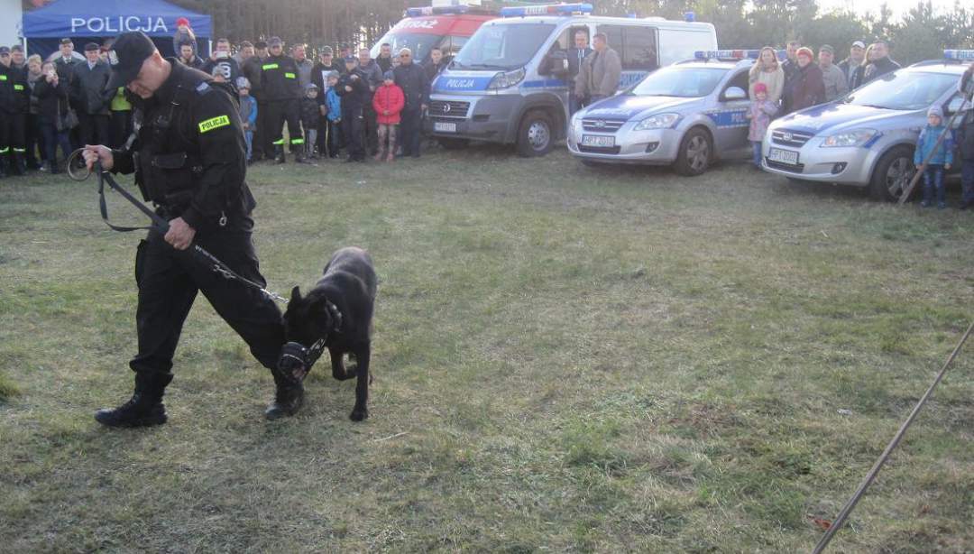 Piknik z pokazem tresury