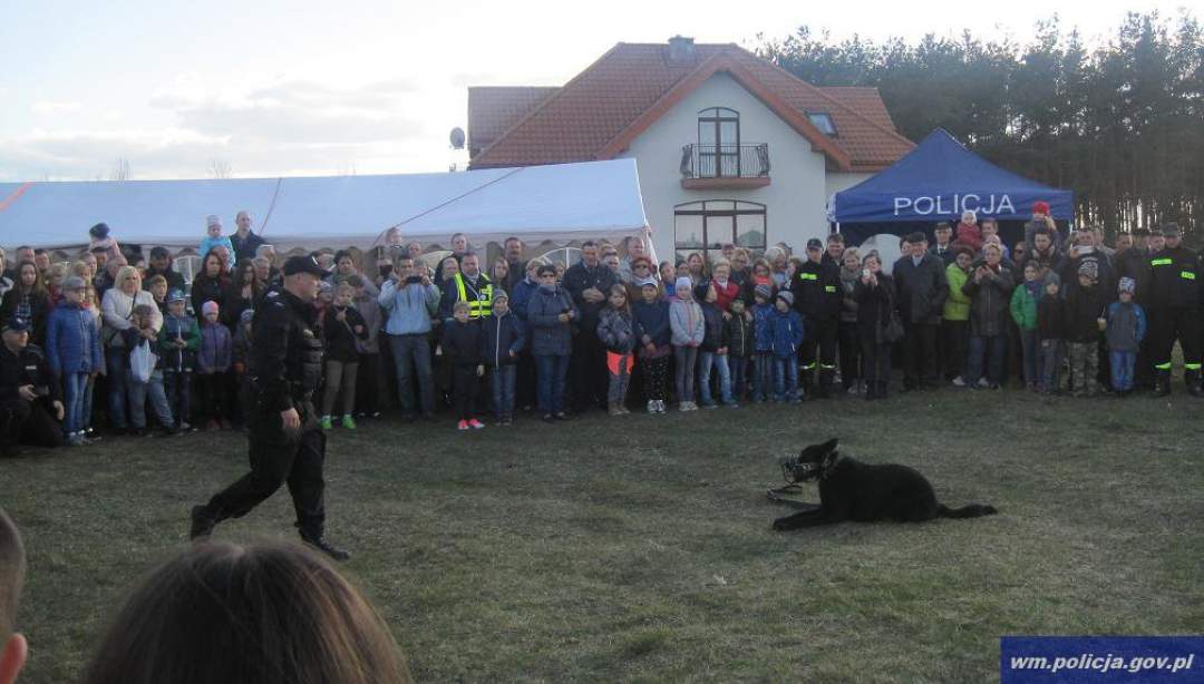 Piknik z pokazem tresury