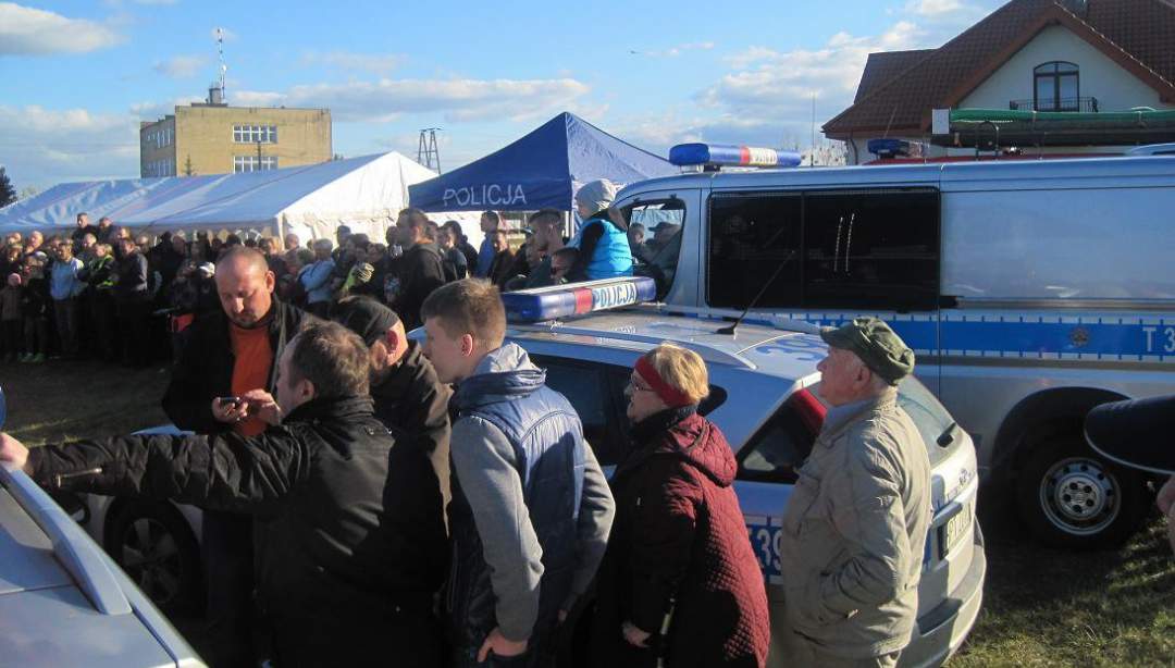 Piknik z pokazem tresury