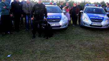 Piknik z pokazem tresury