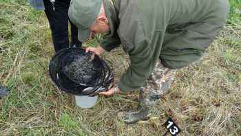 Zawody spławikowe o Puchar Wójta Gminy Działdowo