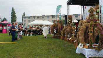 Dożynki w Gm. Płośnica