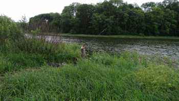 Zawody spławikowe o Puchar Wójta Gminy Działdowo