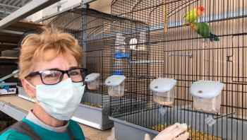 Duże sieci dopiero rozważają a lokalne już dawno gotowe