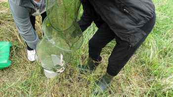 Zawody spławikowe o Puchar Wójta Gminy Działdowo