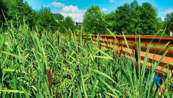 Deptak wokół jeziora w Rybnie został odebrany