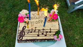 XXI Regionalne Spotkania Zespołów Artystycznych Ochotniczych Straży Pożarnych. (Fot. MO)