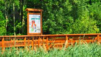 Deptak wokół jeziora w Rybnie został odebrany