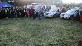 Piknik z pokazem tresury