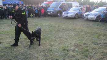 Piknik z pokazem tresury