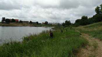 Zawody spławikowe o Puchar Wójta Gminy Działdowo