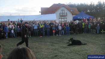 Piknik z pokazem tresury