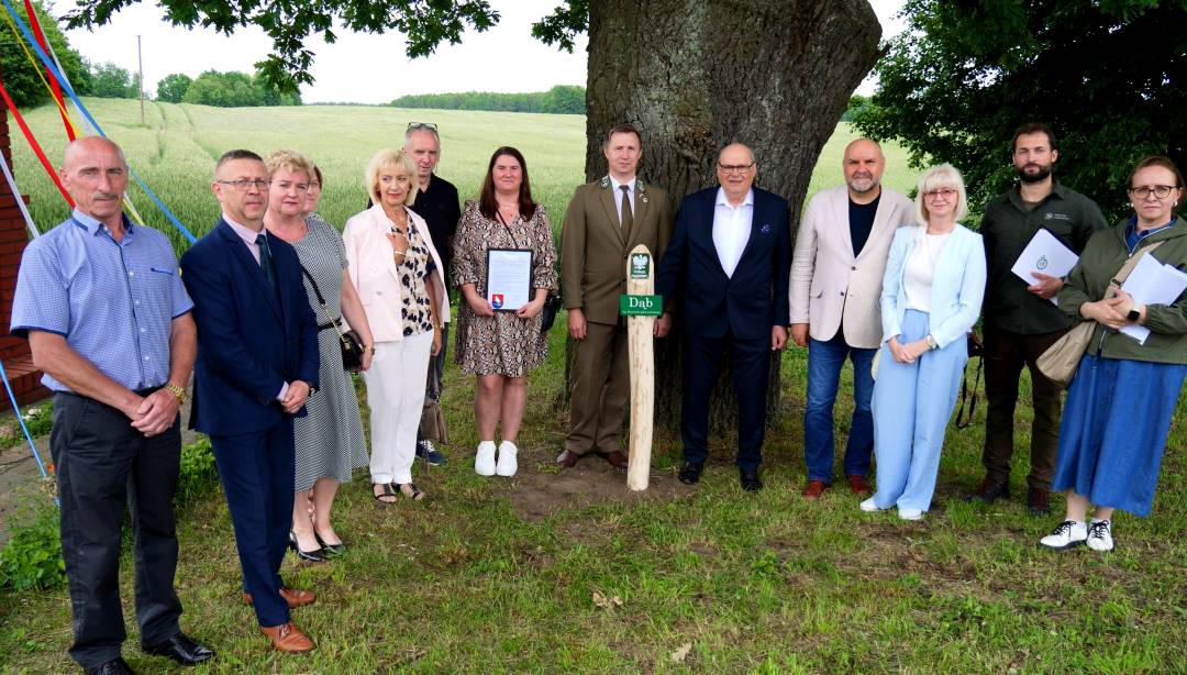 🌳✨ Wyjątkowy prezent na 30-lecie Welskiego Parku Krajobrazowego!