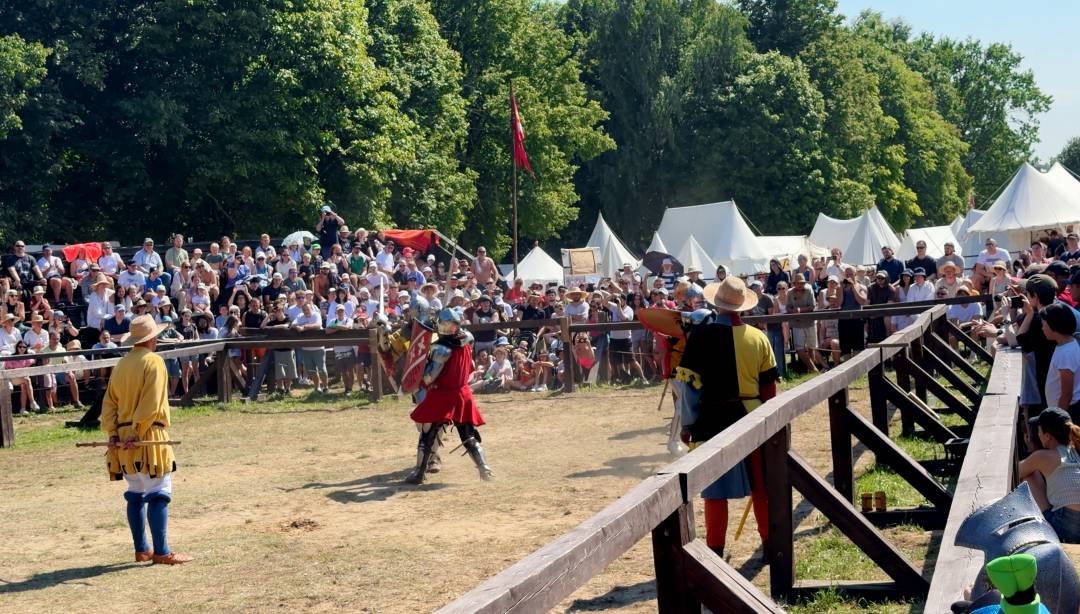 Zaglądamy na pola Grunwaldu