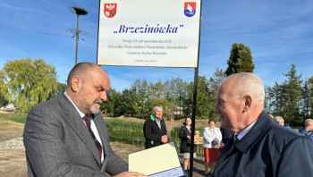 Brzezinówka w Dębieniu