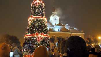 Choinka w Działdowie uroczyście odpalona!
