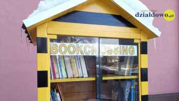 Kto z Was zauważył ten nietypowy obiekt przy wejściu do biblioteki?