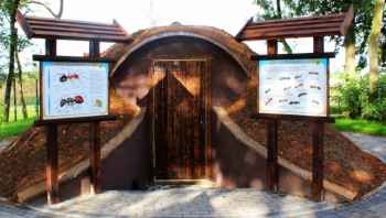 Mrowisko edukacyjne - zobacz, jak wygląda