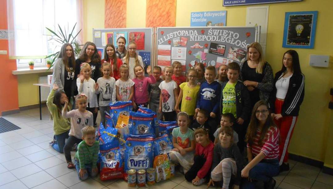 Akcja na rzecz niechcianych zwierząt. (Fot. Gim2)
