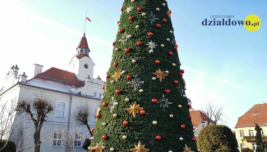 Choinka rozbłyśnie 6 grudnia. (Fot. Karol Wrombel)