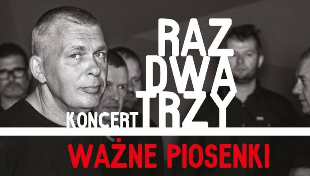 Koncert zespołu Raz Dwa Trzy. (Fot. MDK)