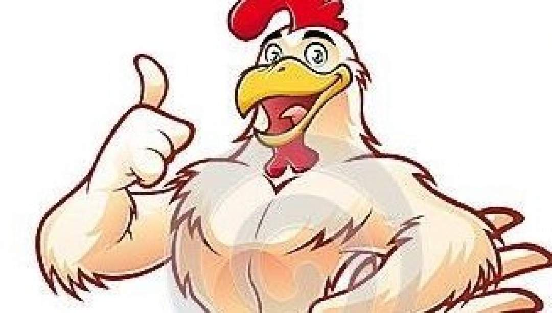 Głosuj na projekt Aktywne Kurki. (Fot. UG Działdowo)