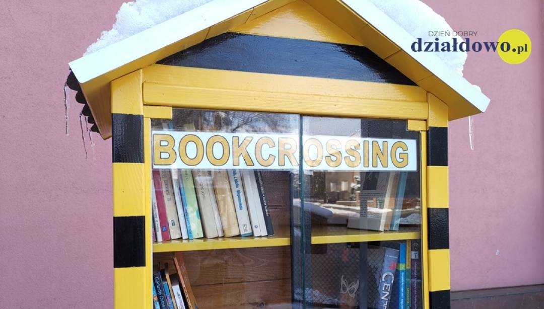 Kto z Was zauważył ten nietypowy obiekt przy wejściu do biblioteki? (Fot. Karol Wrombel)