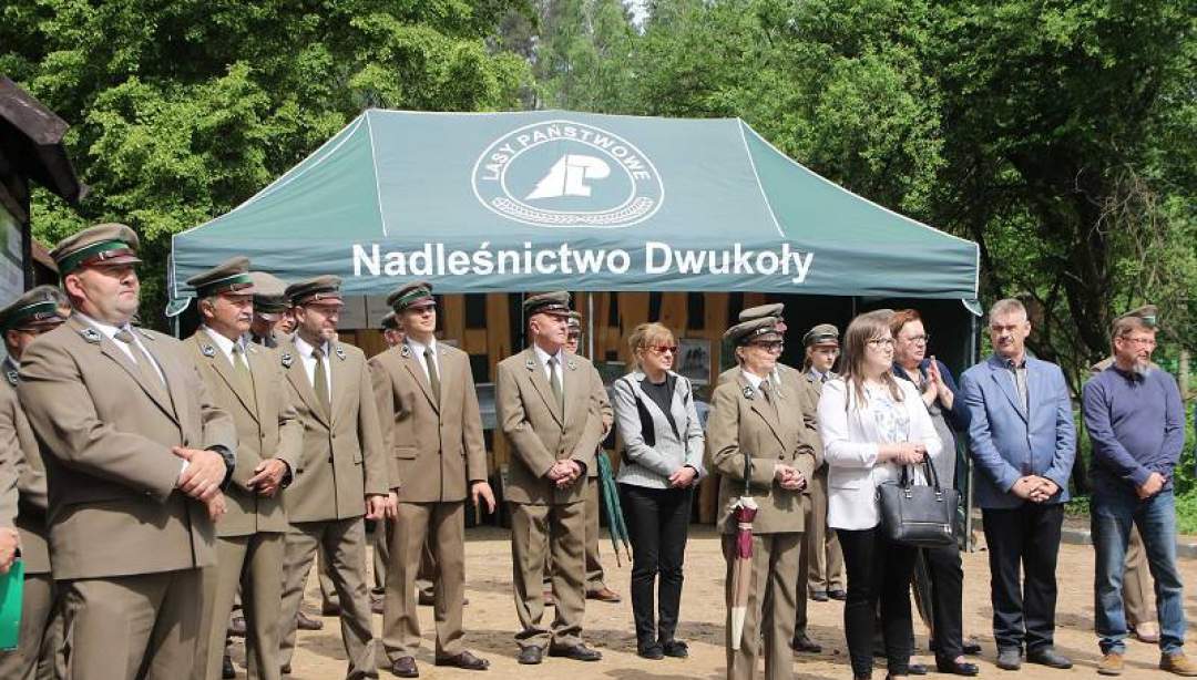 Teren przy Nadleśnictwie Dwukoły otwarty. (Fot. UM Działdowo)