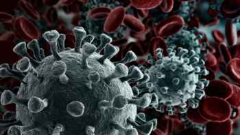 Najnowsze dane na temat epidemii w powiecie działdowskim